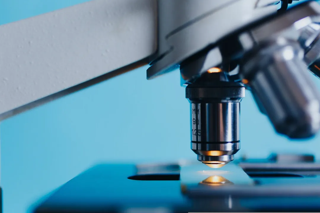 Microscope closeup